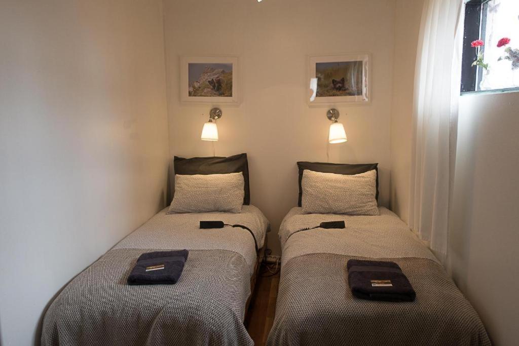 Sudavik Guesthouse Súðavík Екстериор снимка